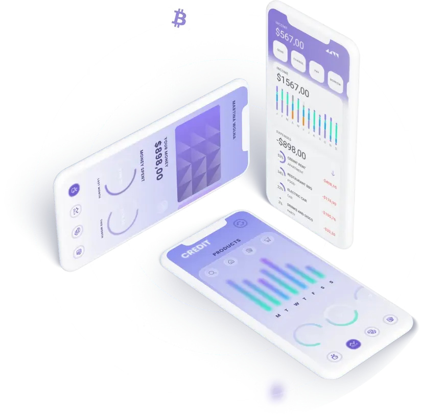 ProfitKernAi - WHAT FUNCTION DOES THE ProfitKernAi APPLICATION SERVE?